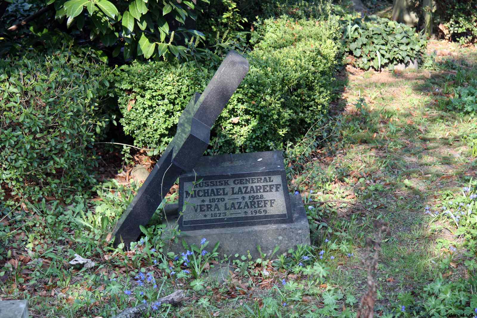 * Image 30