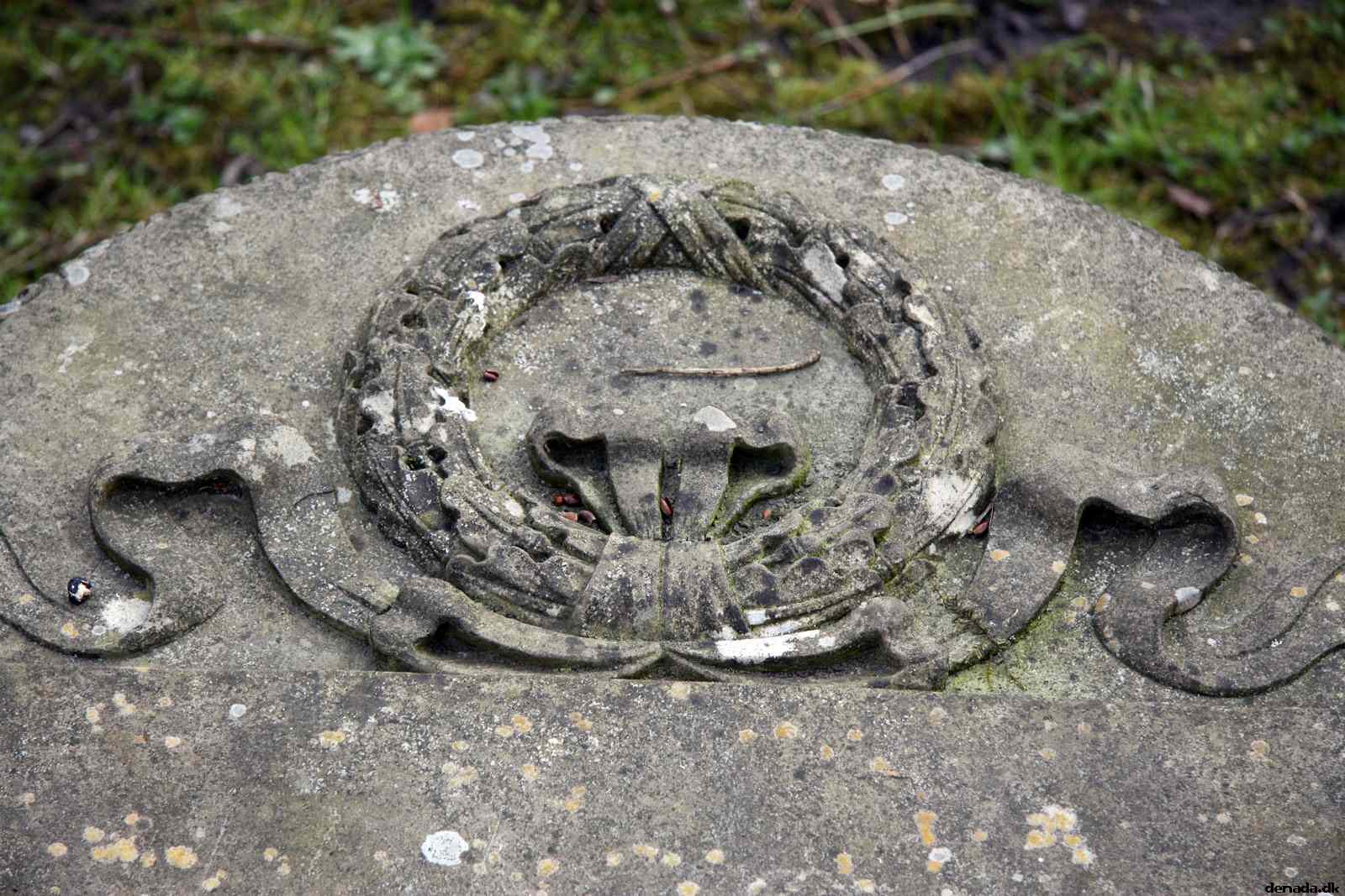 * Image 31