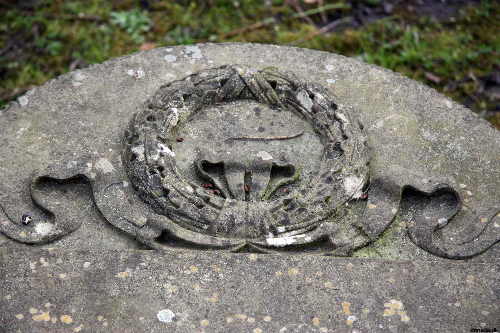 * Image 32