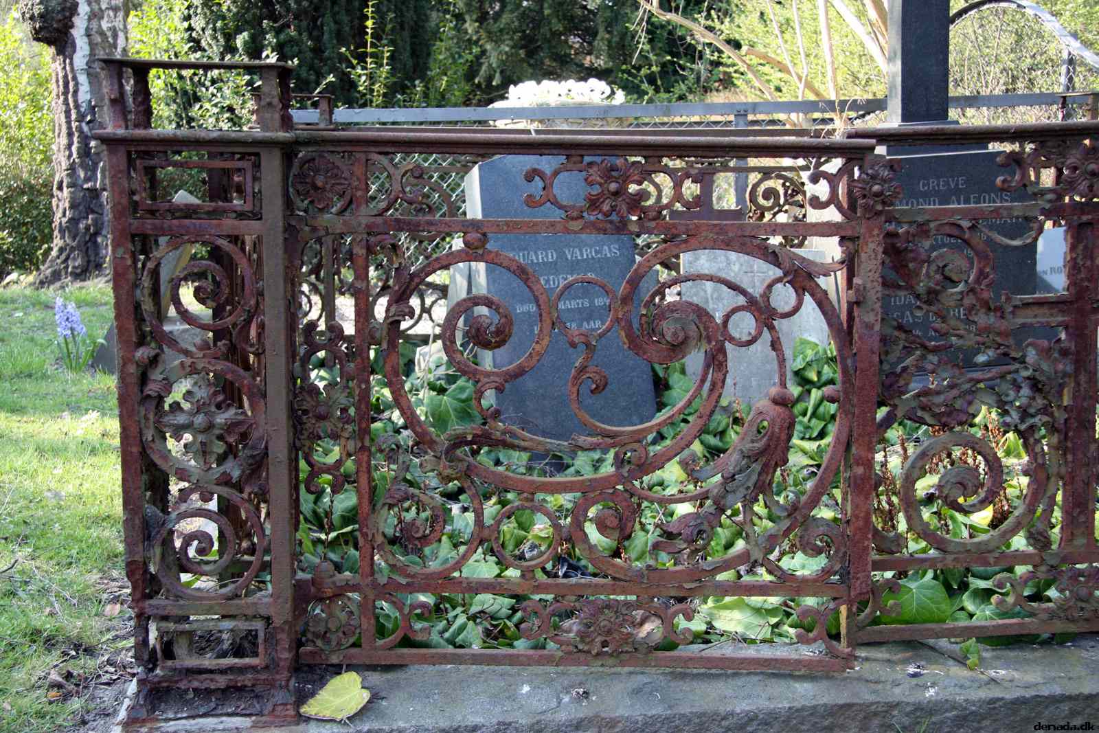 * Image 37