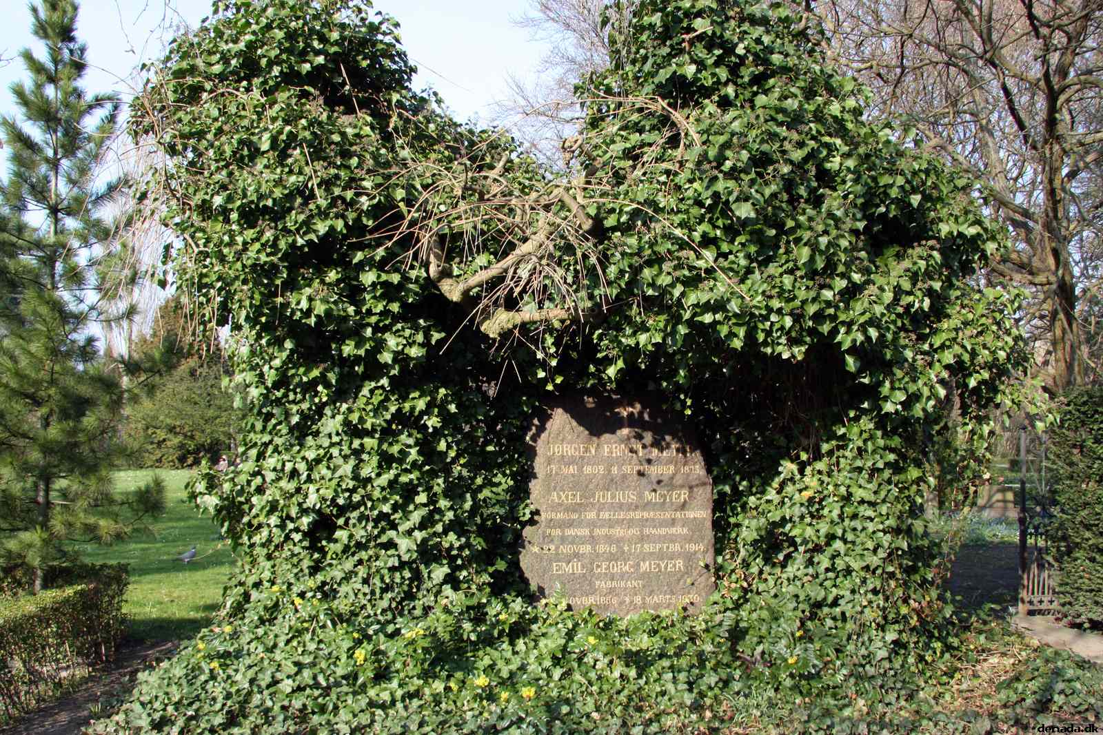 * Image 76