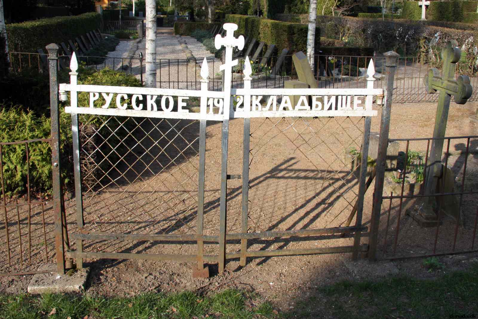 * Image 85
