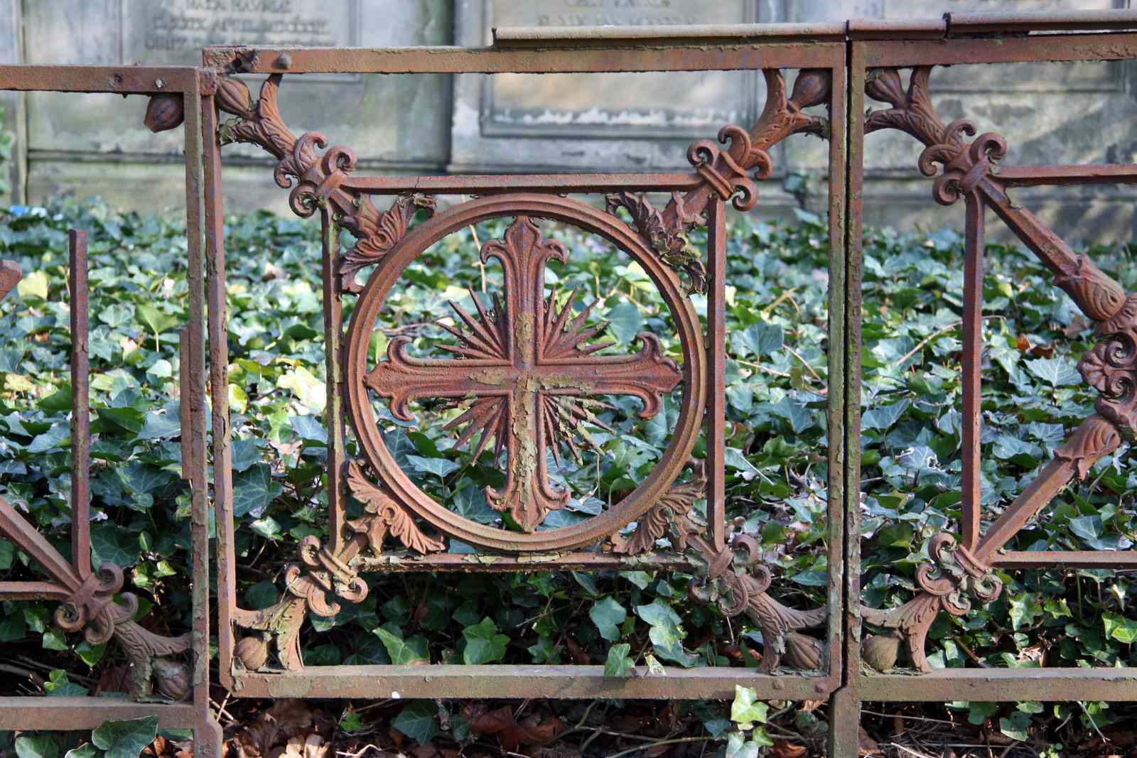 * Image 97