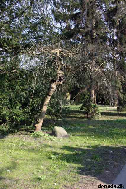 * Image 10
