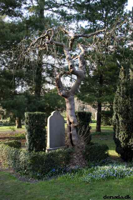 * Image 70