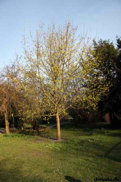 * Image 107