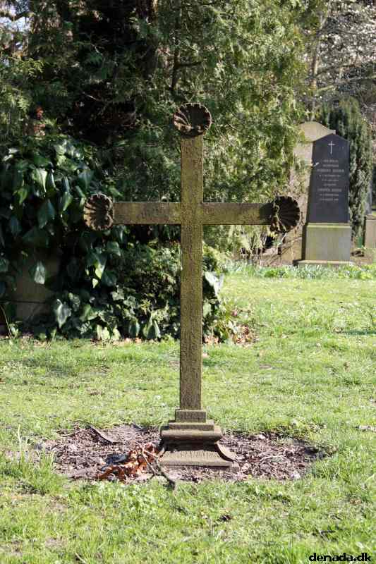 * Image 7