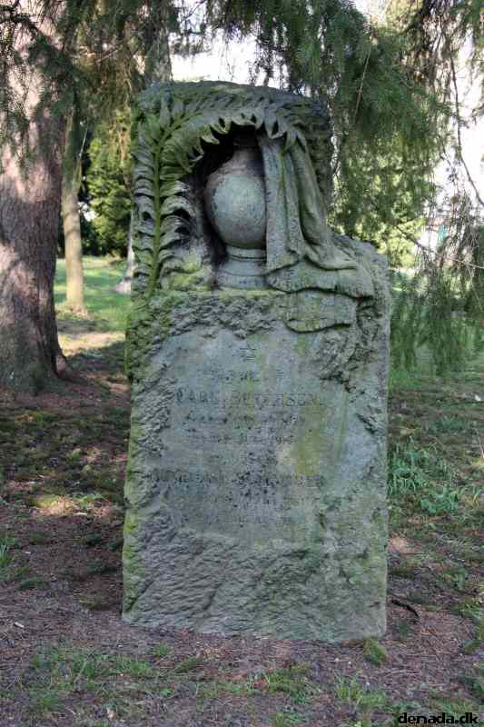 * Image 11