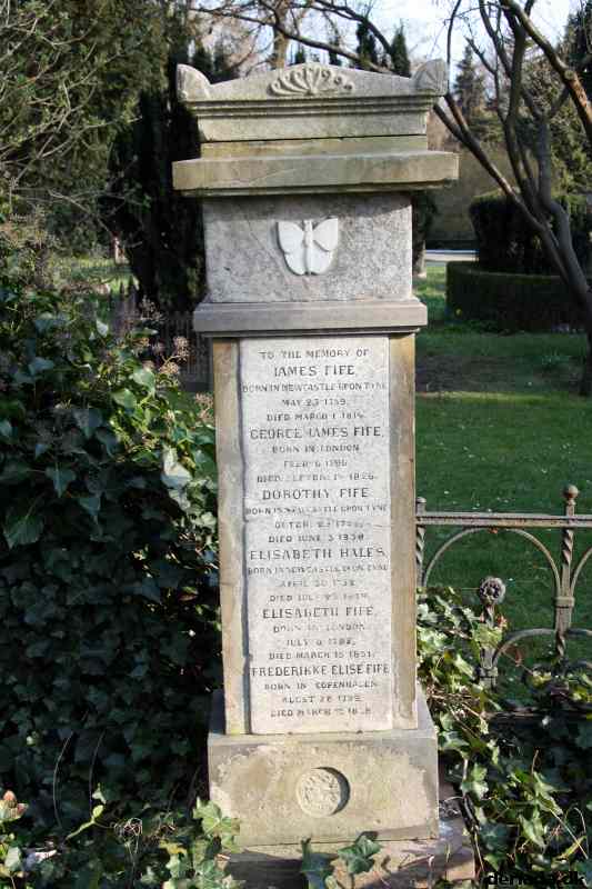 * Image 102