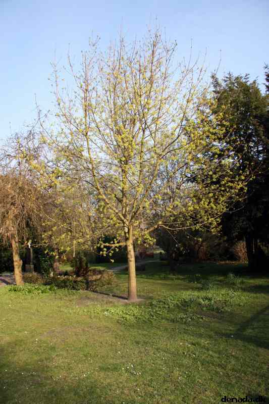 * Image 106