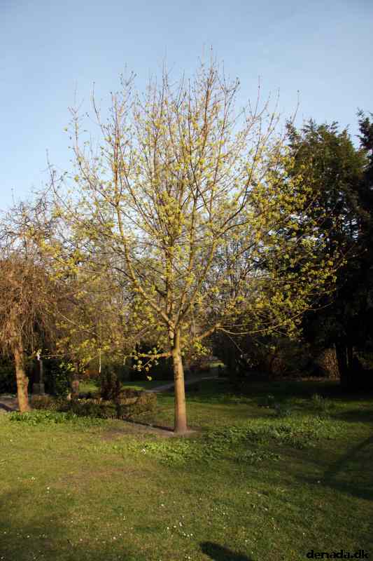 * Image 107