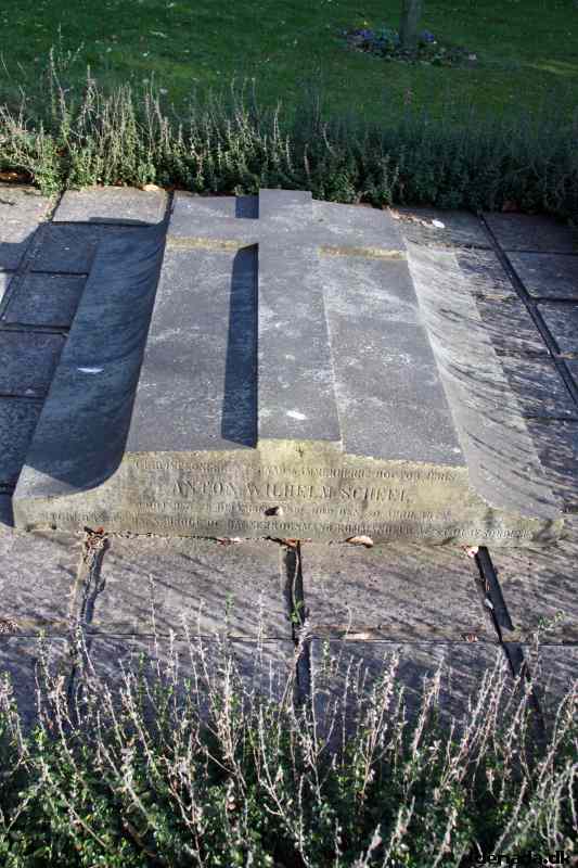 * Image 113