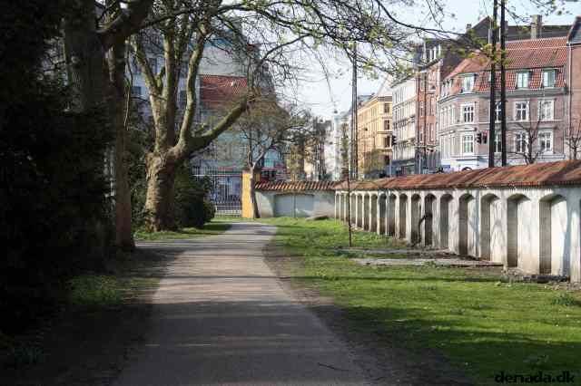 * Image 3