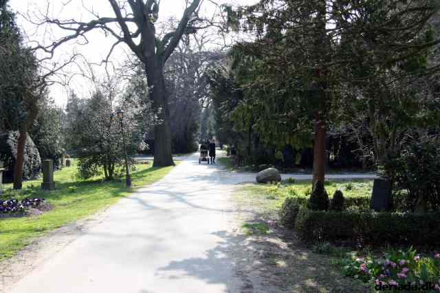 * Image 5