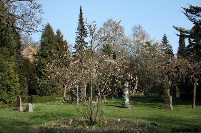 * Image 8