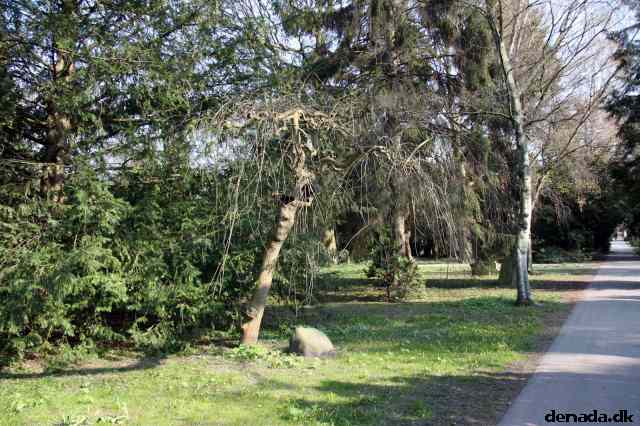 * Image 9
