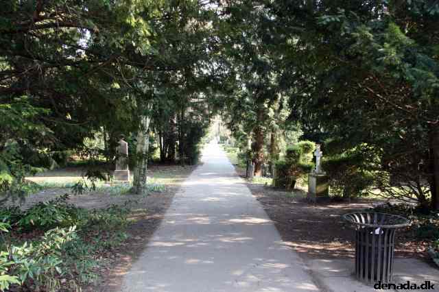 * Image 12
