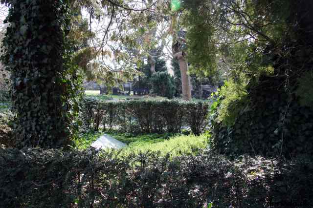 * Image 17