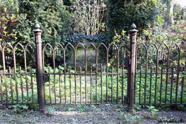 * Image 20