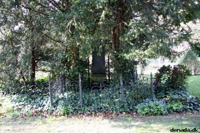 * Image 22