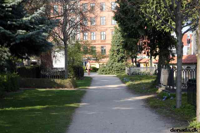 * Image 52