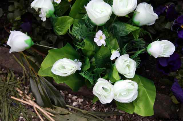 * Image 66