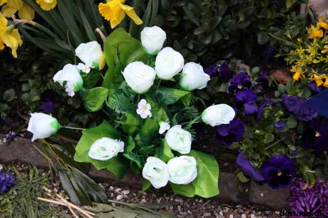* Image 68