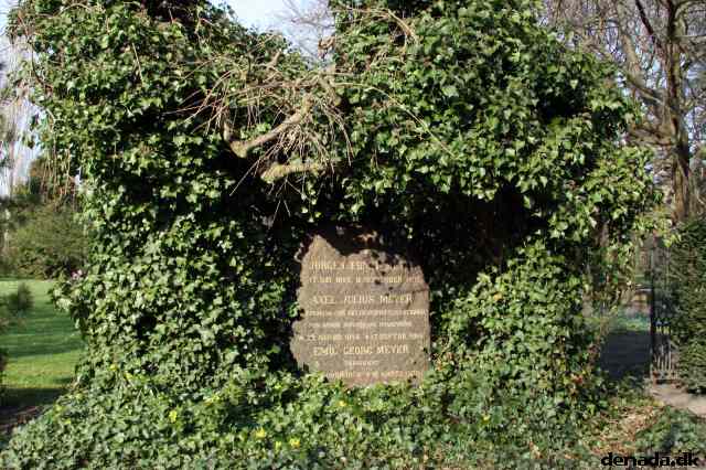* Image 77