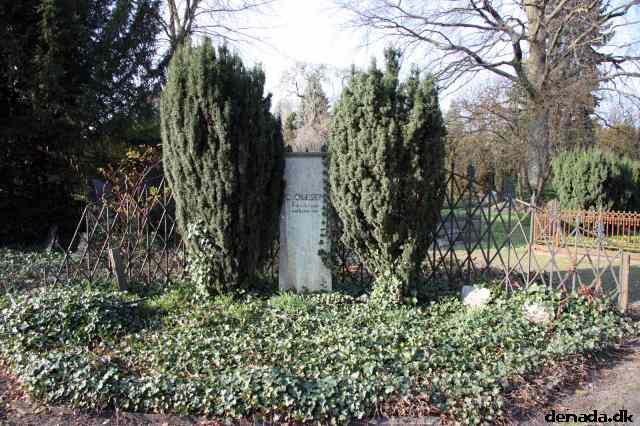 * Image 95