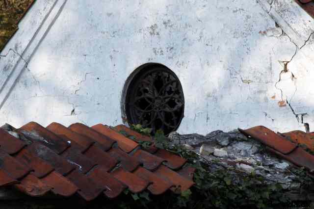 * Image 105