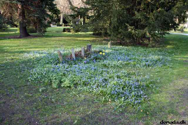 * Image 110
