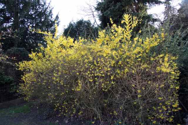 * Image 125