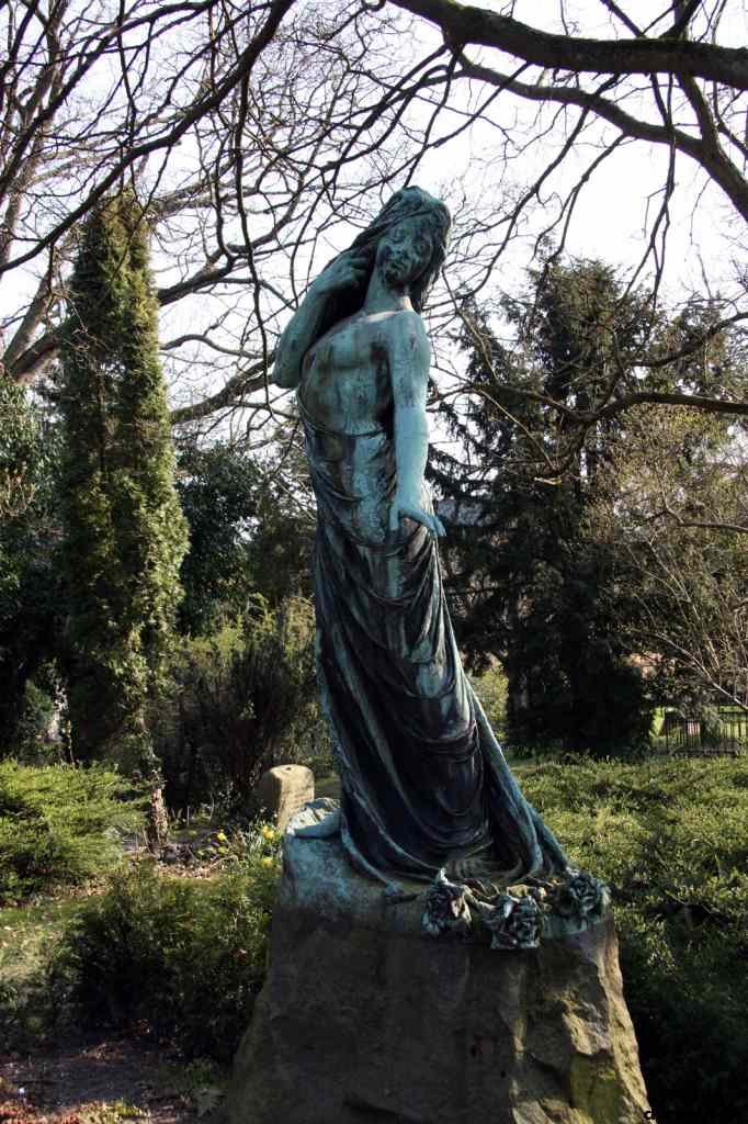 * Image 41