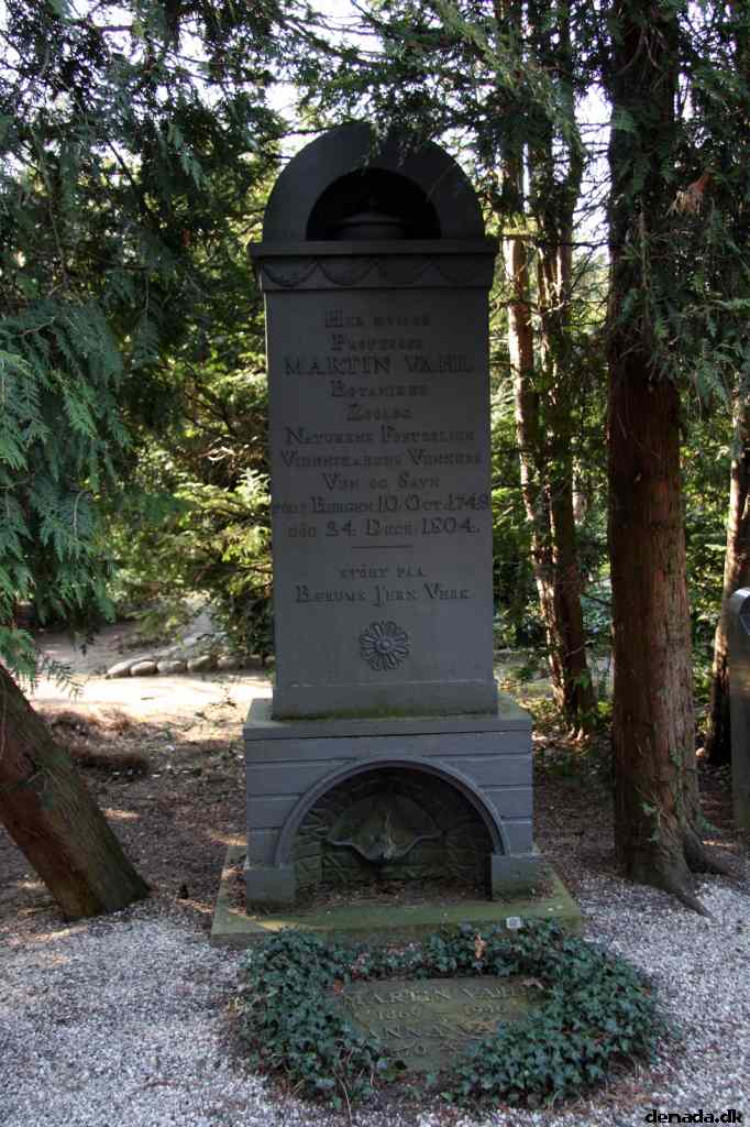 * Image 44
