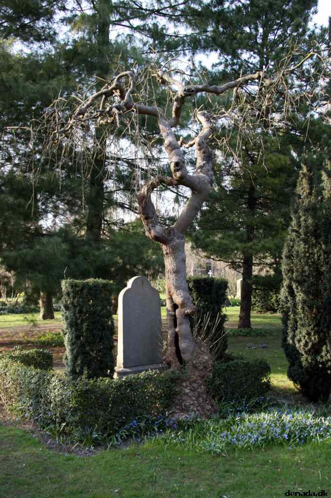 * Image 70