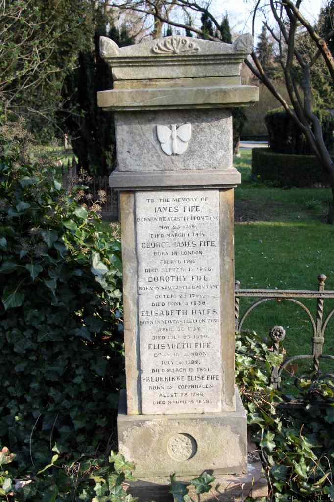 * Image 102