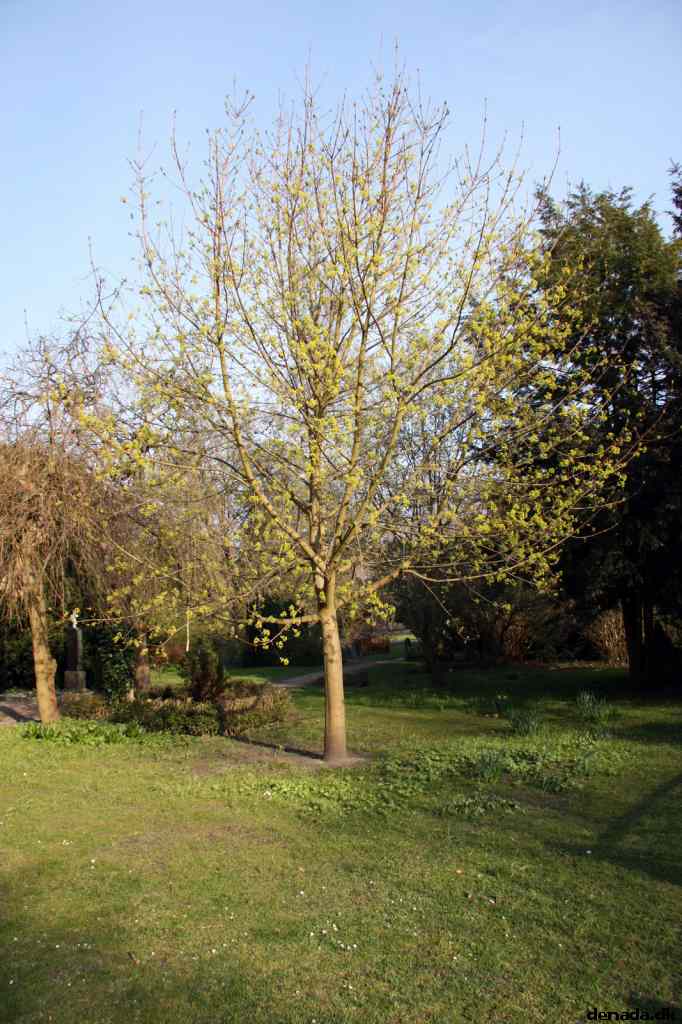 * Image 106