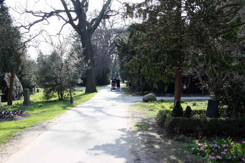 * Image 5