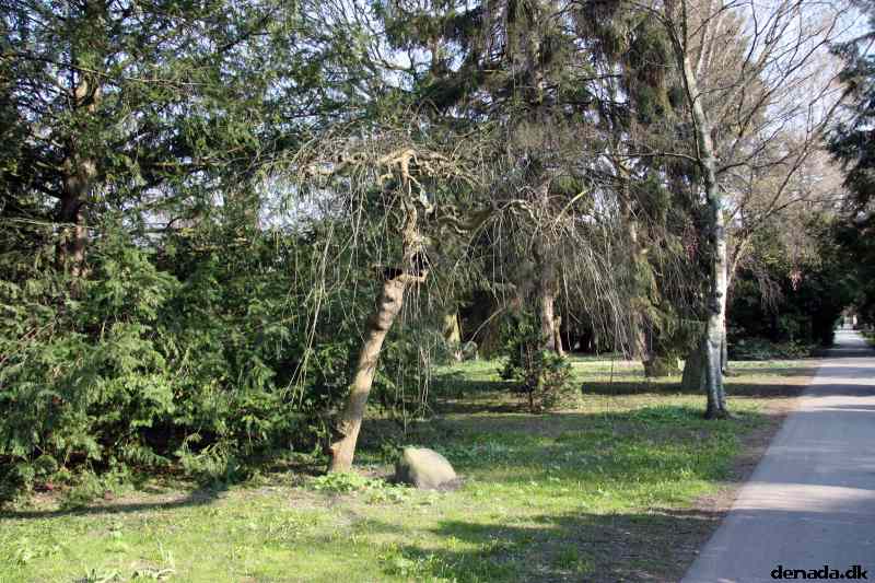 * Image 9