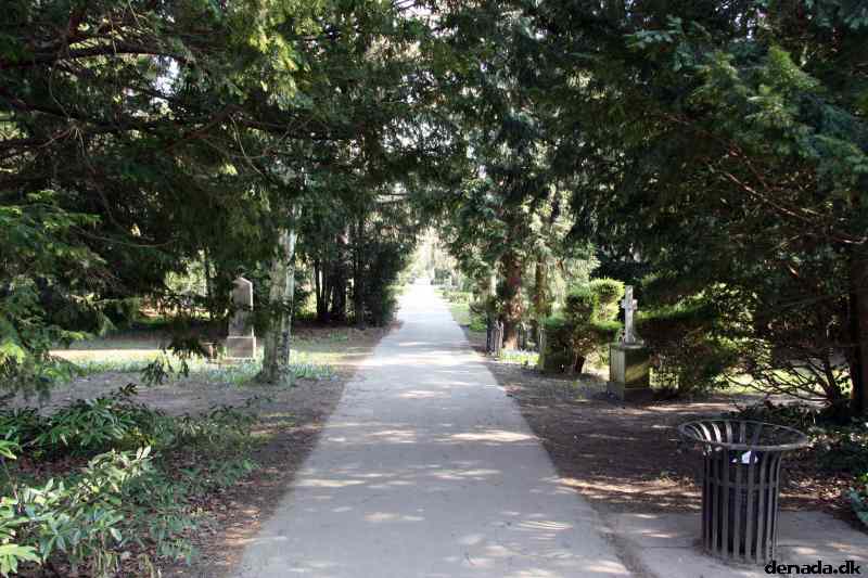 * Image 12