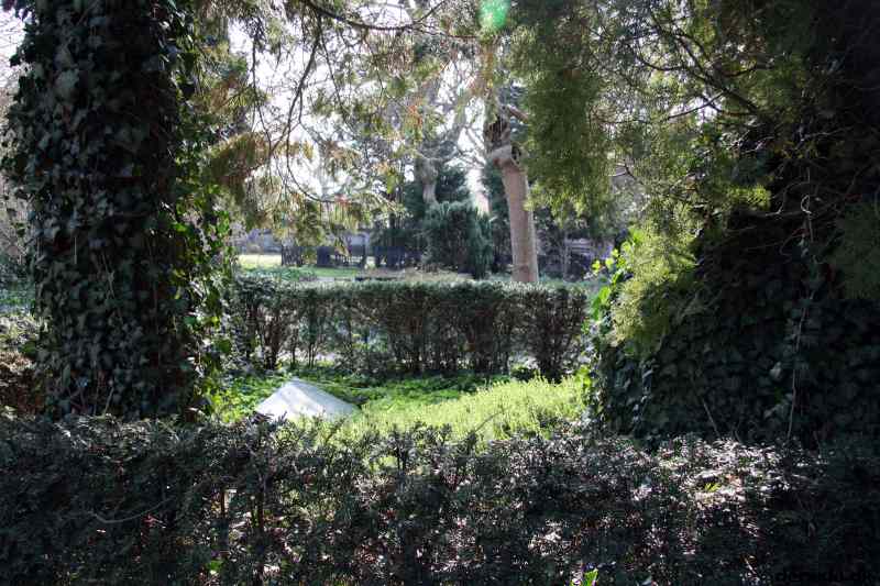* Image 17