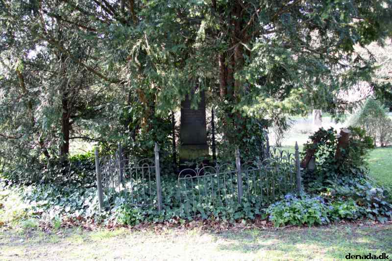 * Image 22