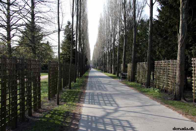 * Image 62