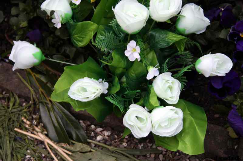 * Image 66