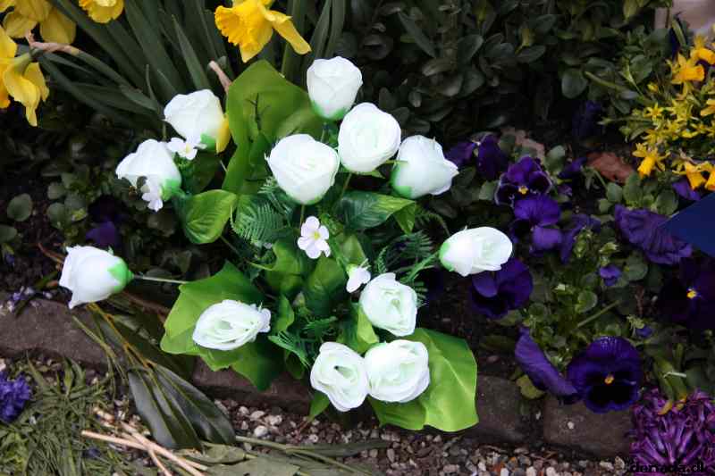 * Image 68