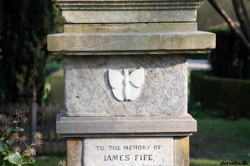* Image 101