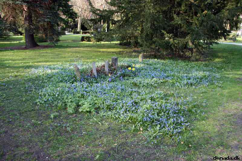 * Image 110