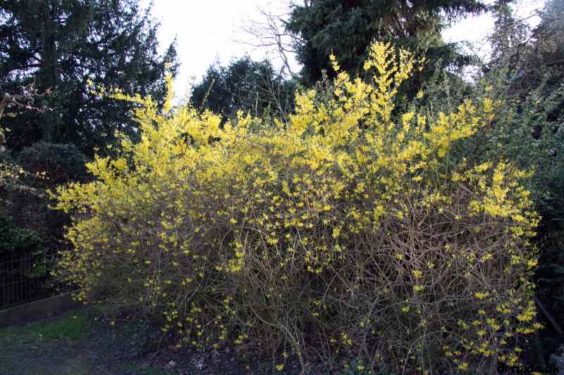 * Image 125