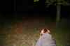 IMG_8197m.jpg - 2009:04:18 21:18:33