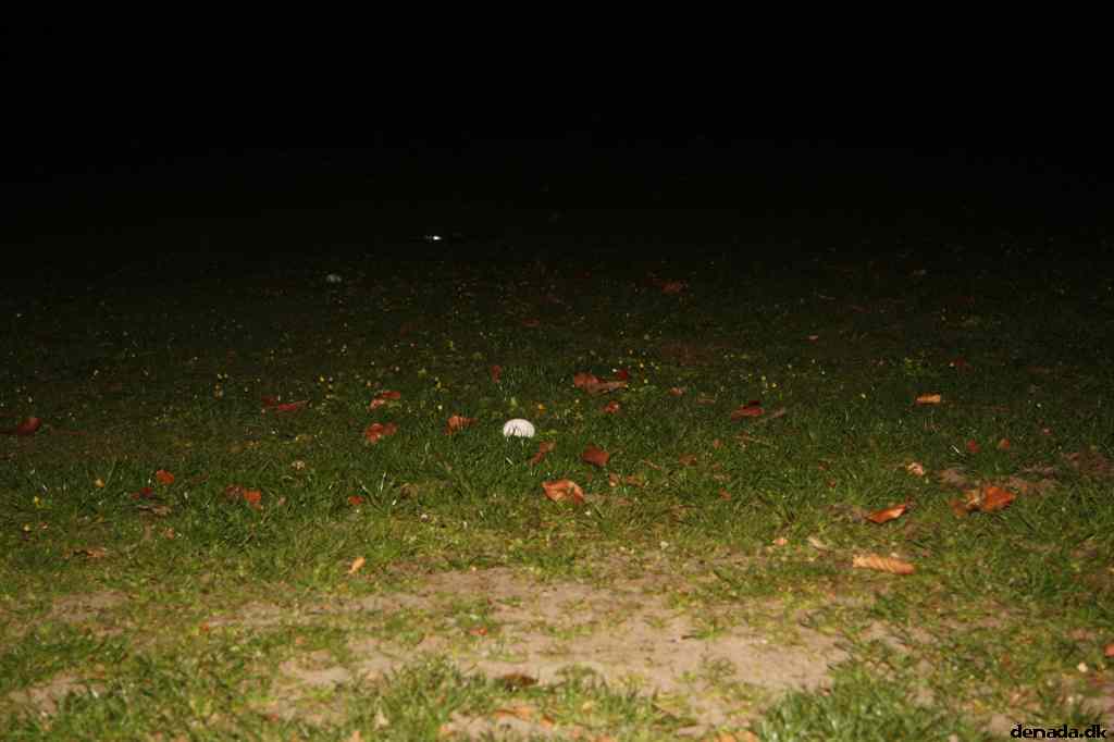 * Image 38